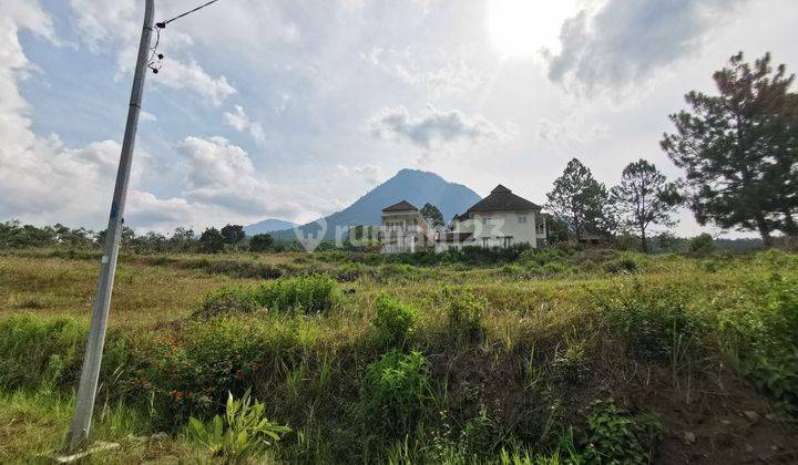 Kavling Bukit Panderman Batu Lokasi Jalan Utama View Pegunungan 1