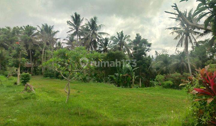 Tanah View Sawah Abadi di Lodtunduh Ubud 1