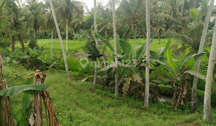 Tanah View Sawah Abadi di Lodtunduh Ubud 2