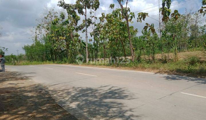 Tanah industri di Sedan Rembang Jawa Tengah 1