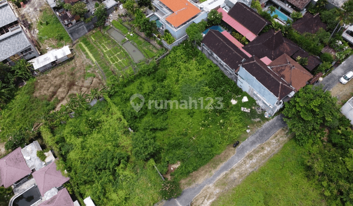 Tanah keren di canggu lingkungan villa view sawah jalan papasan 1