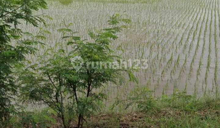 Strategic Land for Housing Development by the Side of Kali CBL Main Road.