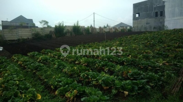 TANAH SIAP BANGUN DI LEMBANG BANDUNG TANAH SIAP BANGUN DI LEMBANG BANDUNG