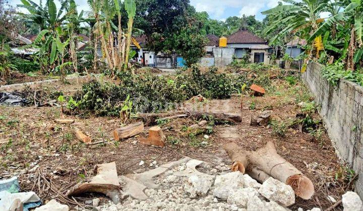 TANAH MURAH TUMBAK BAYUH PERERENAN CANGGU 2