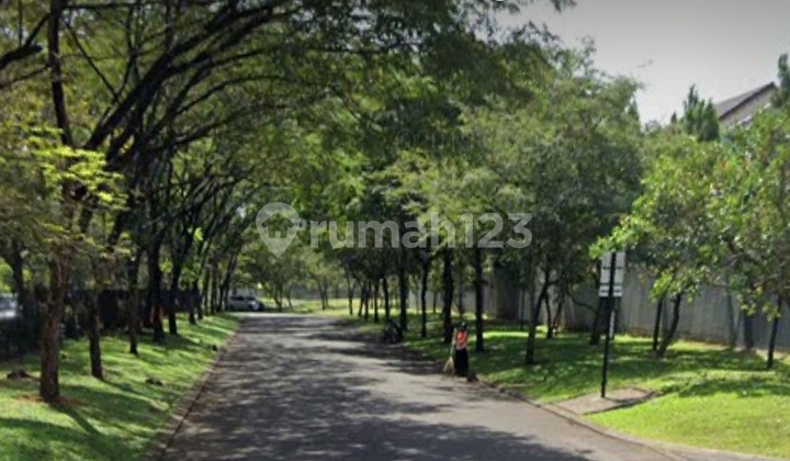 Plot Foglio Foresta Bsd Corner