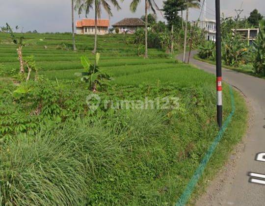 Lahan Strategis di Parung, Bogor Untuk Residential &amp; Villa 2