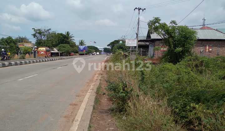 Tanah Strategis Bangun Ruang Usaha Pinggir Jalan Pantura Losarang 2