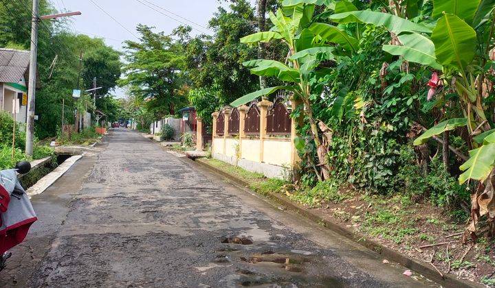 Tanah strategis Di Condong catur tepi Aspal 2