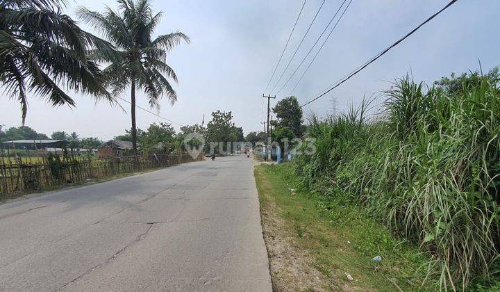 Dijual Cepat Lahan Tanah Kebun Daerah Pangkalan Loji Karawang 1