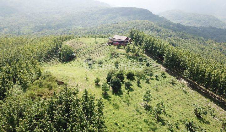 Tanah Kebon di pelabuhan Ratu, Sukabumi 1