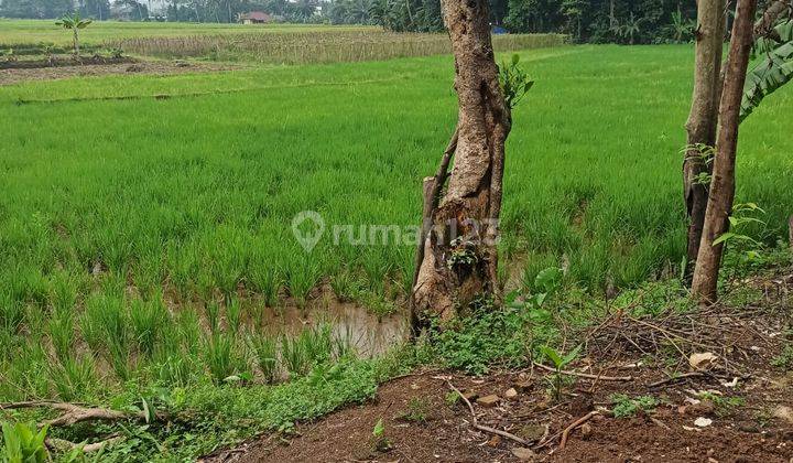 Tanah Sawah, Kebun dan Kolam Pandeglang 2