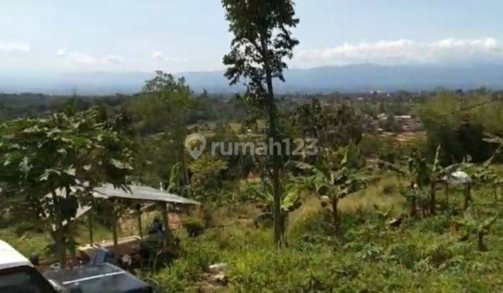 Tanah kebun nempel jln cort besar,SHM, view bagus, srkitaran cugeunang cianjur. murah 2