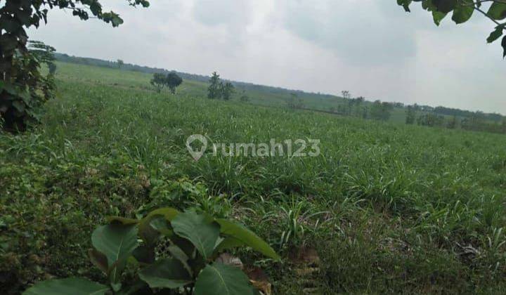 Lahan Tanah Industri Sukoharjo Solo Jawa Tengah 1