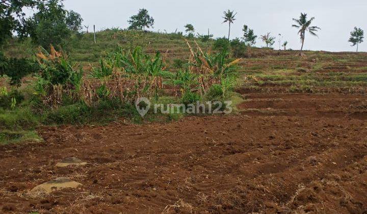 Lahan Tanah Zona industri
Lokasi di Klego, Boyolali Jawa Tengah 2