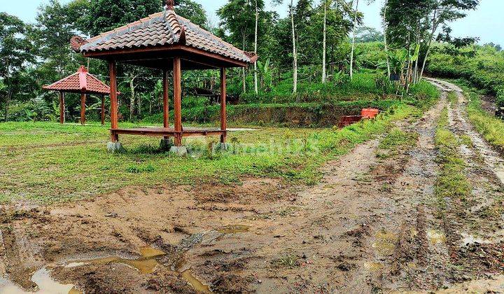 Tanah Luas Lereng Lawu View Indah Cocok Untuk Villa 1