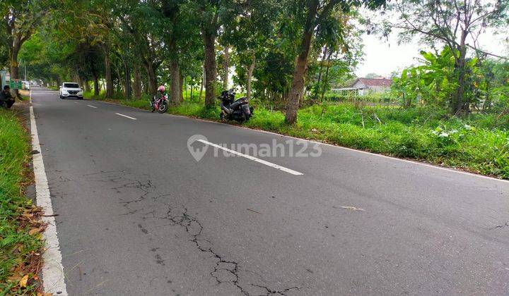 TANAH SUPER ISTIMEWA DAN MURAH DI JALAN GITO GATI 2