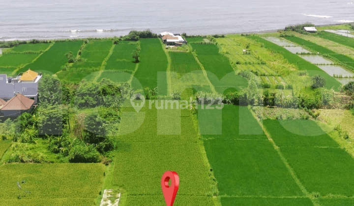 tanah view pantai dan sawah keren di ktewel cocok villa harga murah 1