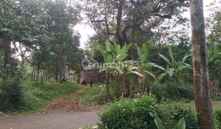 Lahan Kebun di Patemon Gunungpati Semarang 1