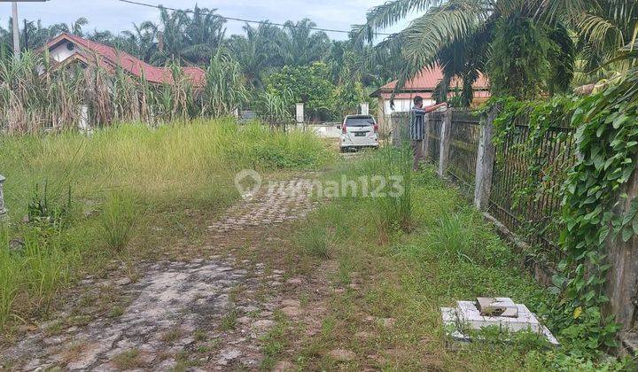 Tanah bonus rumah type 100 di tenayan raya  2