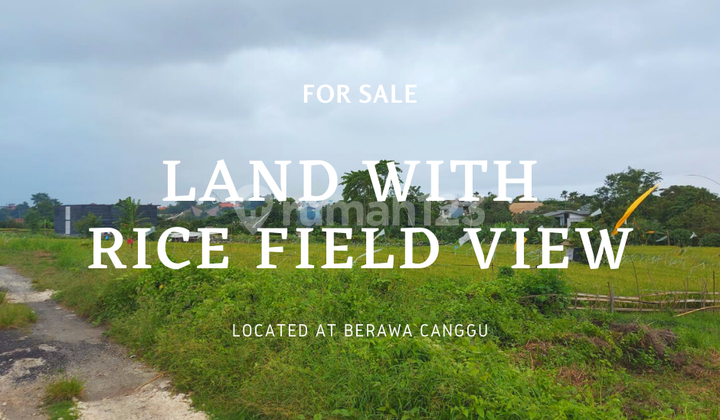 LAND WITH RICE FIELD VIEW AT BERAWA CANGGU