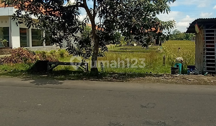 Tanah dekat terminal Klaten pinggir jalan Tanah dekat terminal Klaten pinggir jalan