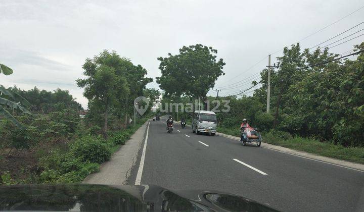 Tanah Raya Jati langkir Tikung Lamongan 2