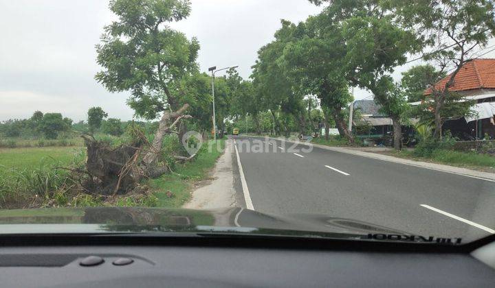 Tanah Lopang Tikung Lamongan 2