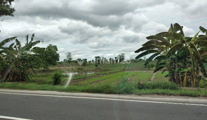 Tanah Raya Mantup Kembangbahu Lamongan 1