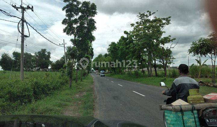 Tanah Jl Raya Mantup Desa Pelang Kembangbahu Lamongan 2