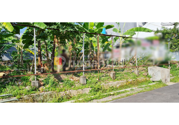 Plot in Ungaran Candi Semarang 1