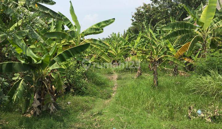 Tanah industri Jombang Di Bawah 1 Hektare 1