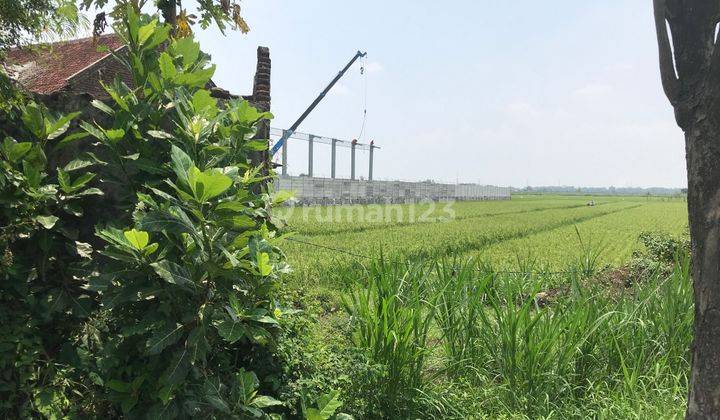 Tanah Industri Bandar Kedungmulyo Jombang Di Bawah 1 Hektare 1