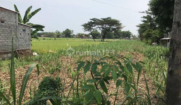 Tanah Industri Bandar Kedungmulyo, Jombang, 1 Hektare 1