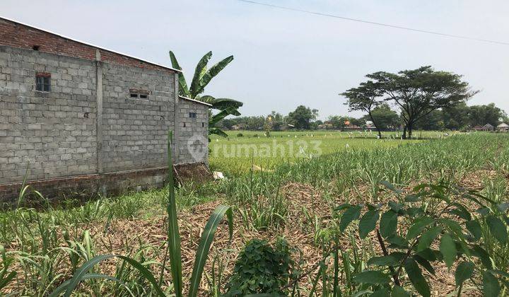 Tanah Industri Bandar Kedungmulyo, Jombang, 1 Hektare 2