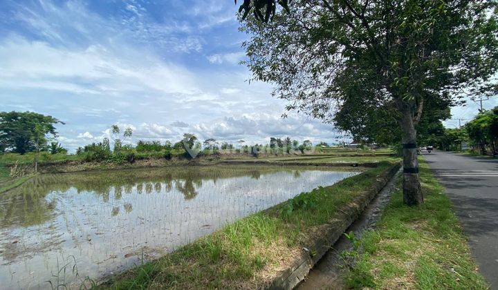 Bali Convenient Land At Jl Raya Krasan, Badung Close To Ubud. 1