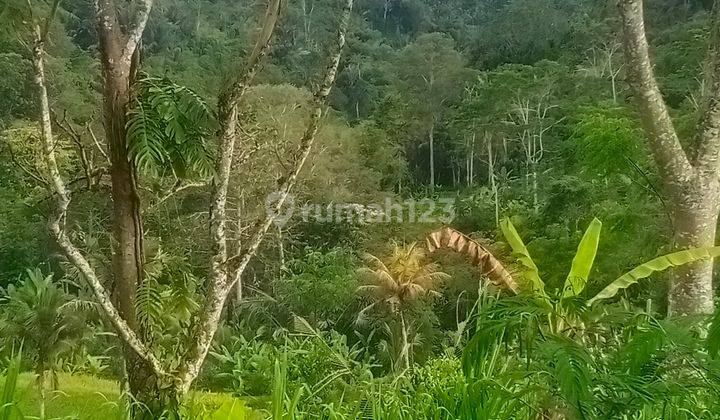 tanah murah vew lembah hutan area ubud payangan 1