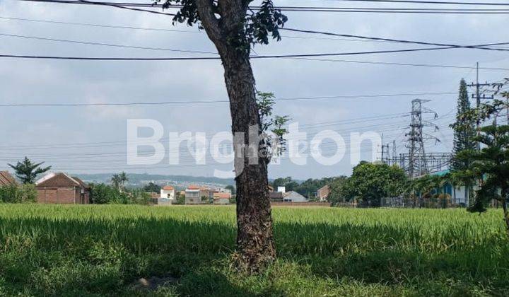 Tanah di pinggir Jalan raya Pakis Malang 2