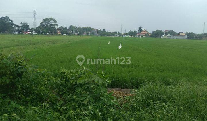 Tanah cocok untuk gudang Baki dalam lingkungan pabrik 1