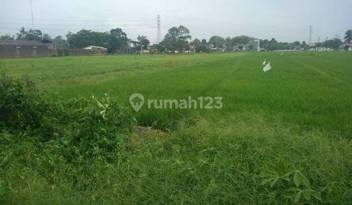 Tanah cocok untuk gudang Baki dalam lingkungan pabrik 2