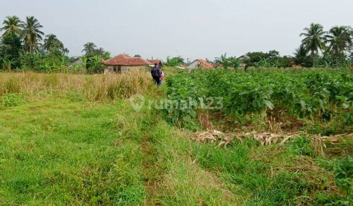 Dijual Tanah di pinggir jalan Utama JL RAYA JAKARTA BOGOR,CIMANGGIS DEPOK 2