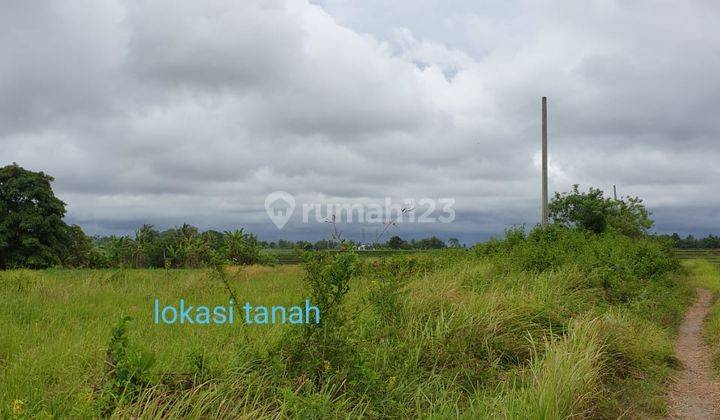 RARE! JL UTAMA KEDUNGU BEACH 2