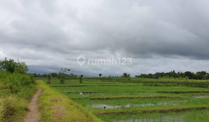 RARE! JL UTAMA KEDUNGU BEACH 1