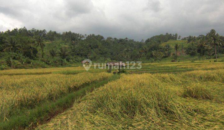 Tanah di subang jawa barat 1