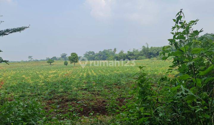 Dijual Lahan Tanah Kawasan Industri Desa Bendungan Kalijati Subang Jawa Barat 1