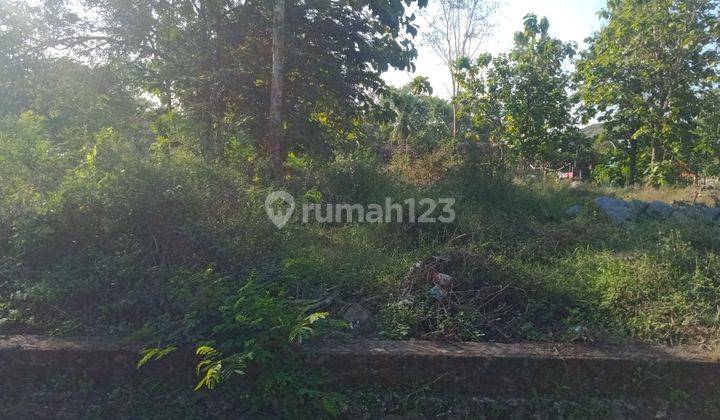 Tanah Pekarangan Jalan Wates Sentolo Kulonprogo Yogyakarta 1