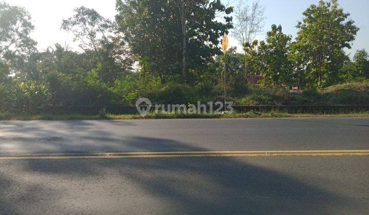 Tanah Pekarangan Jalan Wates Sentolo Kulonprogo Yogyakarta 2