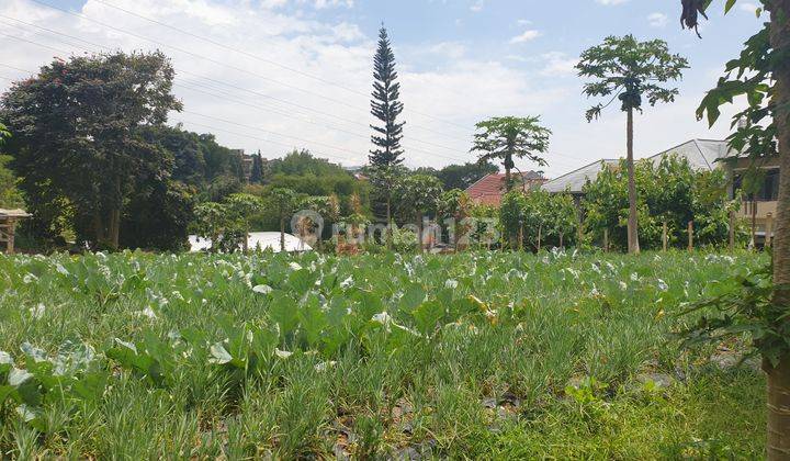 Tanah datar di setiabudi regency dengan lebar muka yg besar. Jarang ada di setiabudi regency.  1