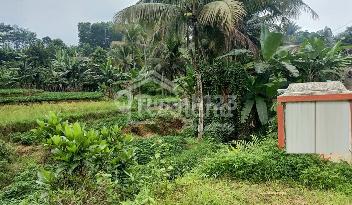Land in Tambahsari Limbangan Bojo (Nc 3296) 1