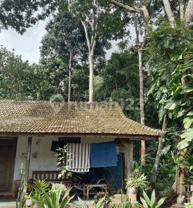 Tanah:5000 M2( 50   are) los sungai ,full view sawah abadi super murah siap Bangun Di kaba kaba Tabanan Bali 1