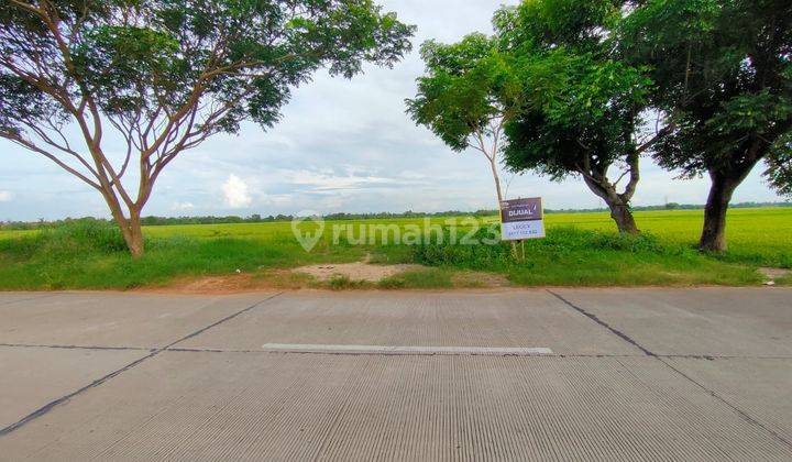 Lahan Tepi Sawah Cocok untuk Usaha Kuliner Kekinian 1